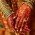 tatouage indien